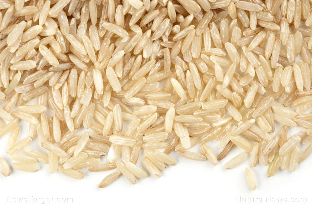 RICE is the latest target of climate change cultists and the global war to starve populations to death